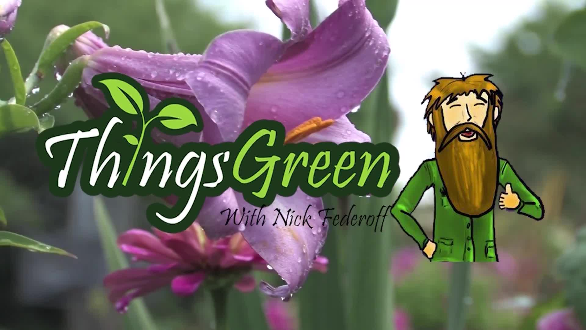 Thumbnail image for Things Green Gardening  Show