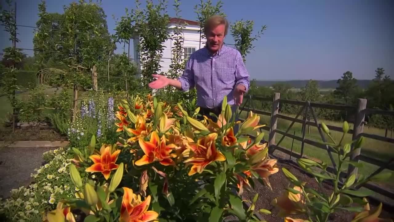 Thumbnail image for  Garden Home